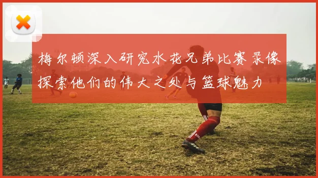 梅尔顿深入研究水花兄弟比赛录像探索他们的伟大之处与篮球魅力