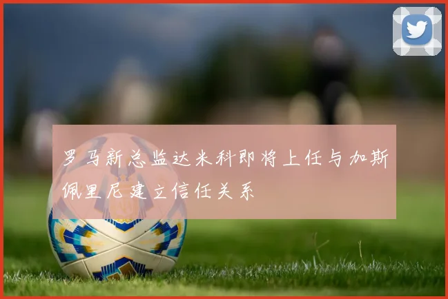 罗马新总监达米科即将上任与加斯佩里尼建立信任关系